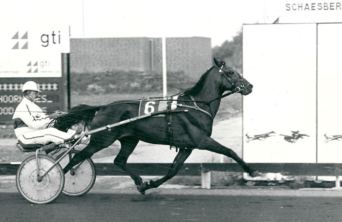 Zingaro Last 11-7-86.jpg