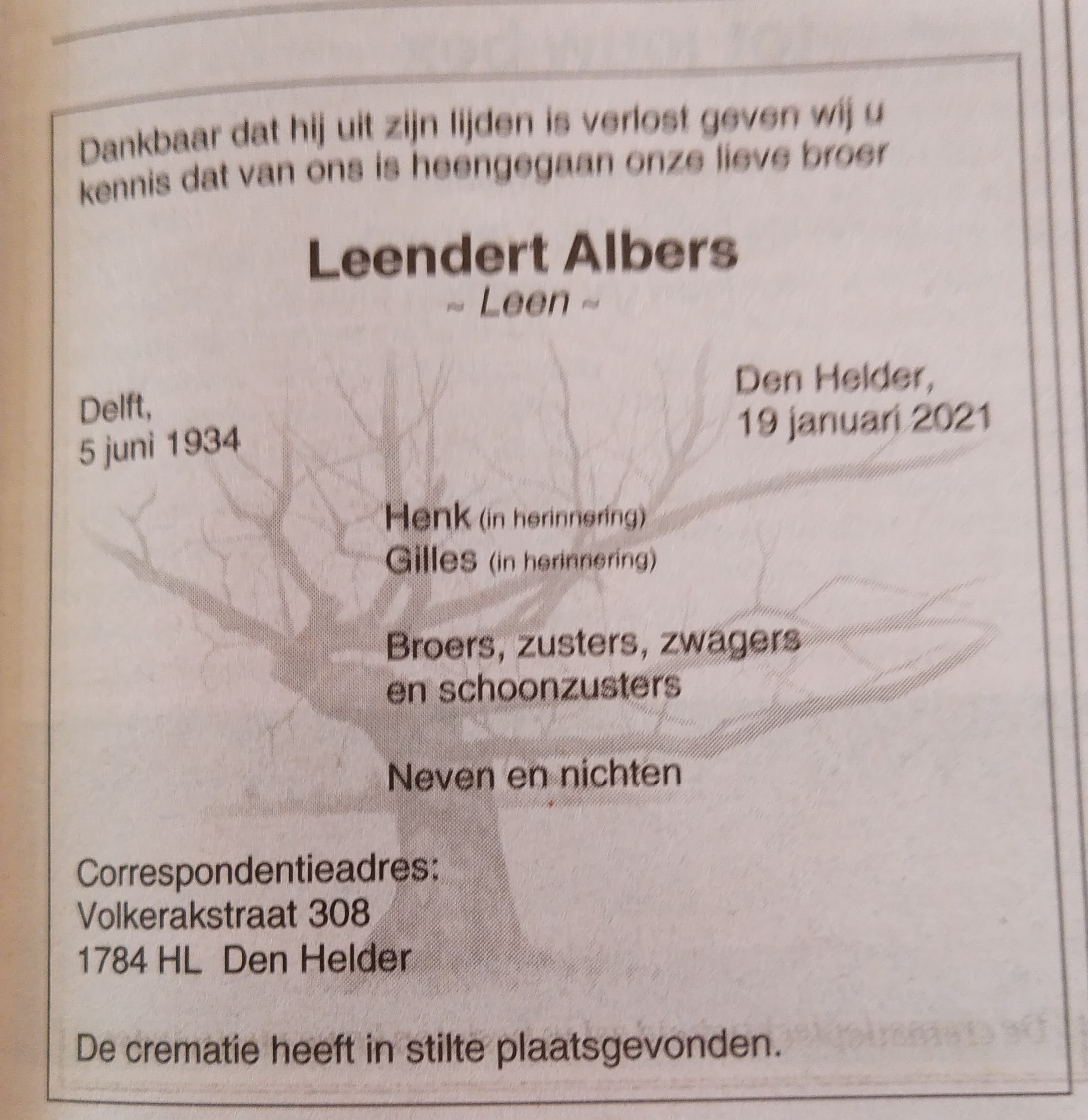 Leen (2).jpg