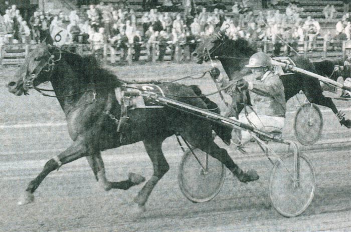 Channa Hanover.jpg
