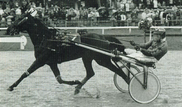 Eviva Kievitshof.jpg