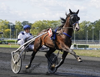 big-hip-hop-haufor-remporte-la-qualif-1-a-l-amerique-29136.jpg