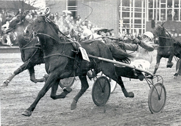 Jonker Volann GoudPrd 77.jpg