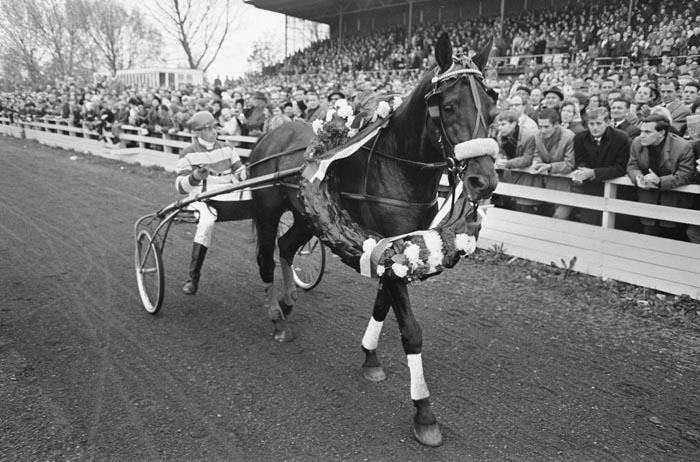 Quick afscheid 1.jpg