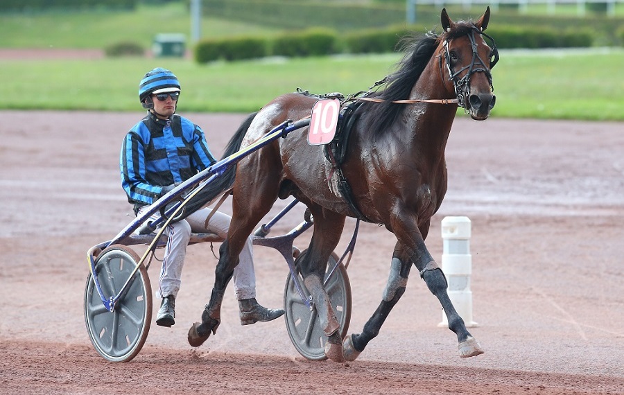 Idao de Tillard_Aprh_opt_570.jpg