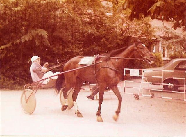 Karel Duke 01.jpg