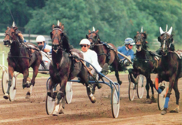 Donderstraal SprKamp91.jpg