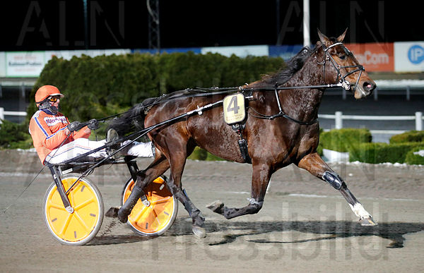 Marvellous Steel heat 1.t65b4dbfc.m600.w.4salnwmark2.png.xQQq5jem-.jpg