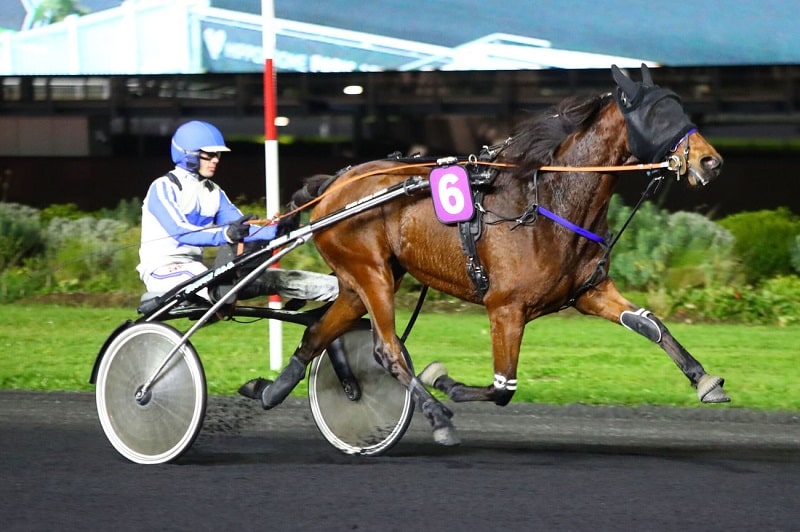 Lilas-Castelle-Vincennes-07.11.23.jpg
