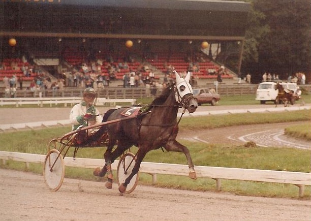 Zvetlana Hanover 01.jpg