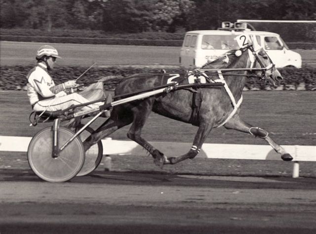 Zvetlana Hanover Arnold.jpg