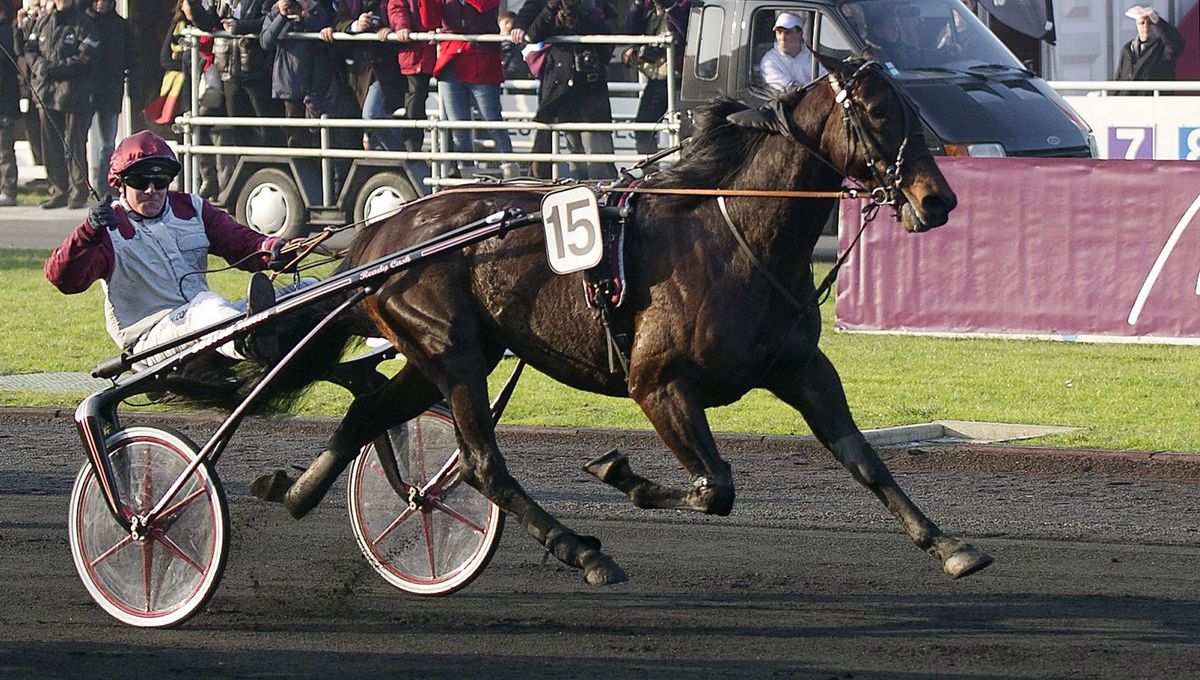 1200x680_sc_cheval.jpg