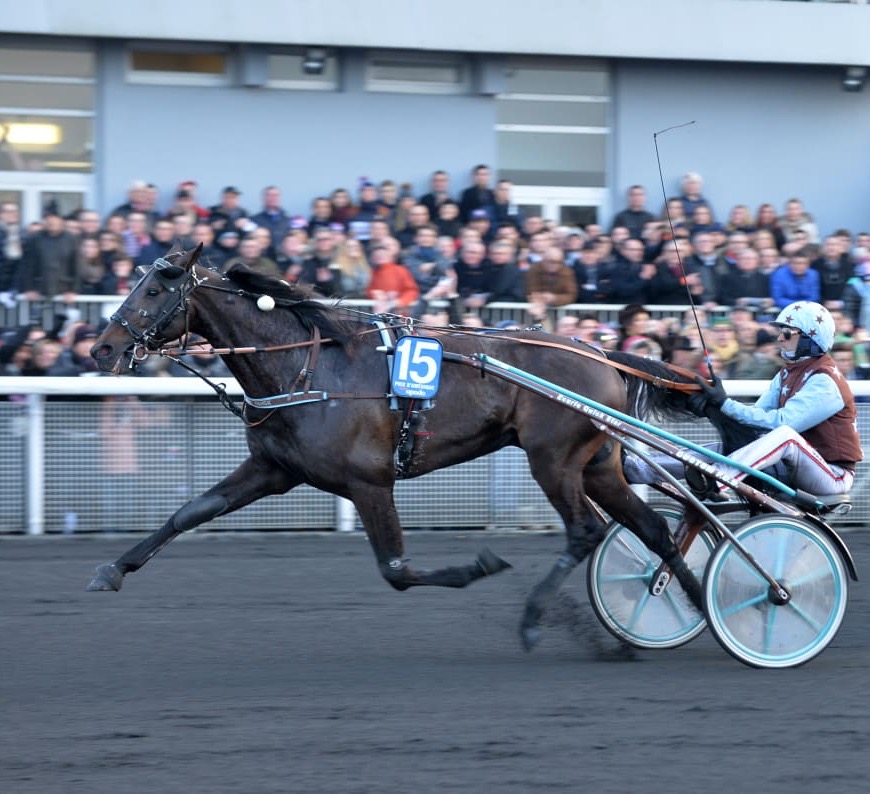 Up_And_Quick_Prix_d'Amerique_2015.jpg