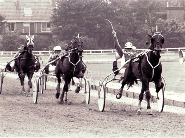 Whippet Postille Sprint 87.jpg