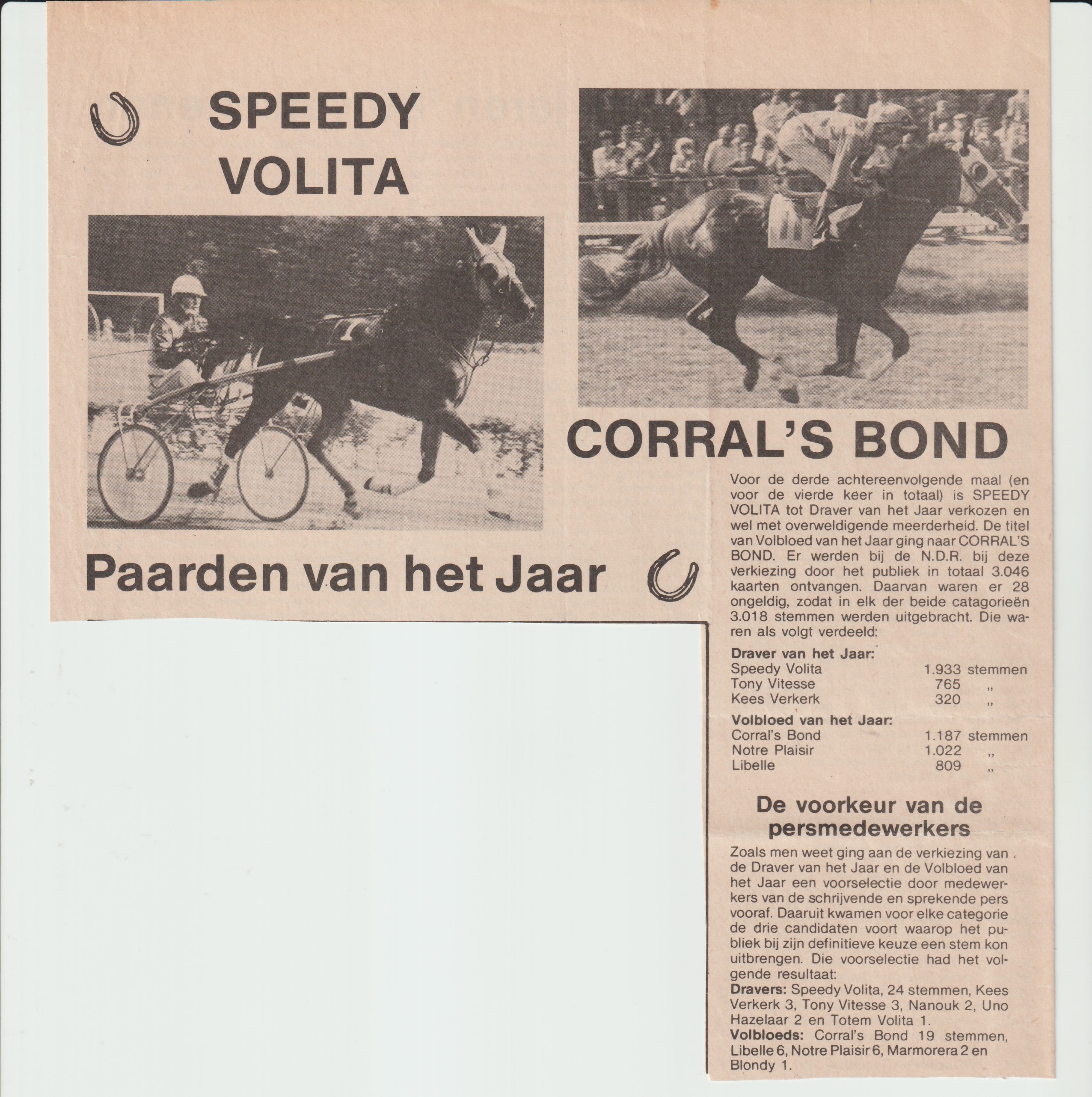 Paard van het Jaar.jpg