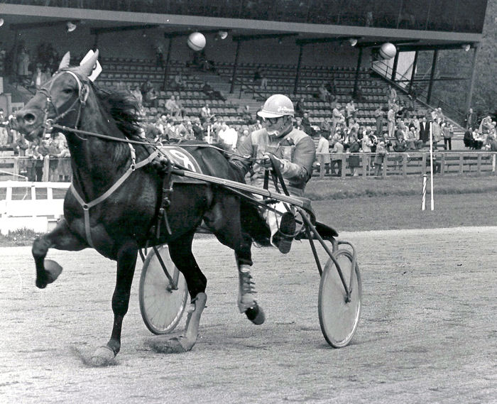 Zilco Buitenzorg 4-5-85.jpg