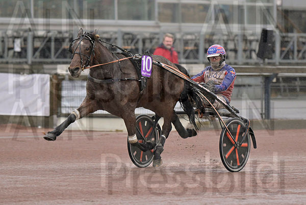 Foolish Pleasure mål.t65cf7dc6.m600.w.4salnwmark2.png.xfIF24e8Y.jpg