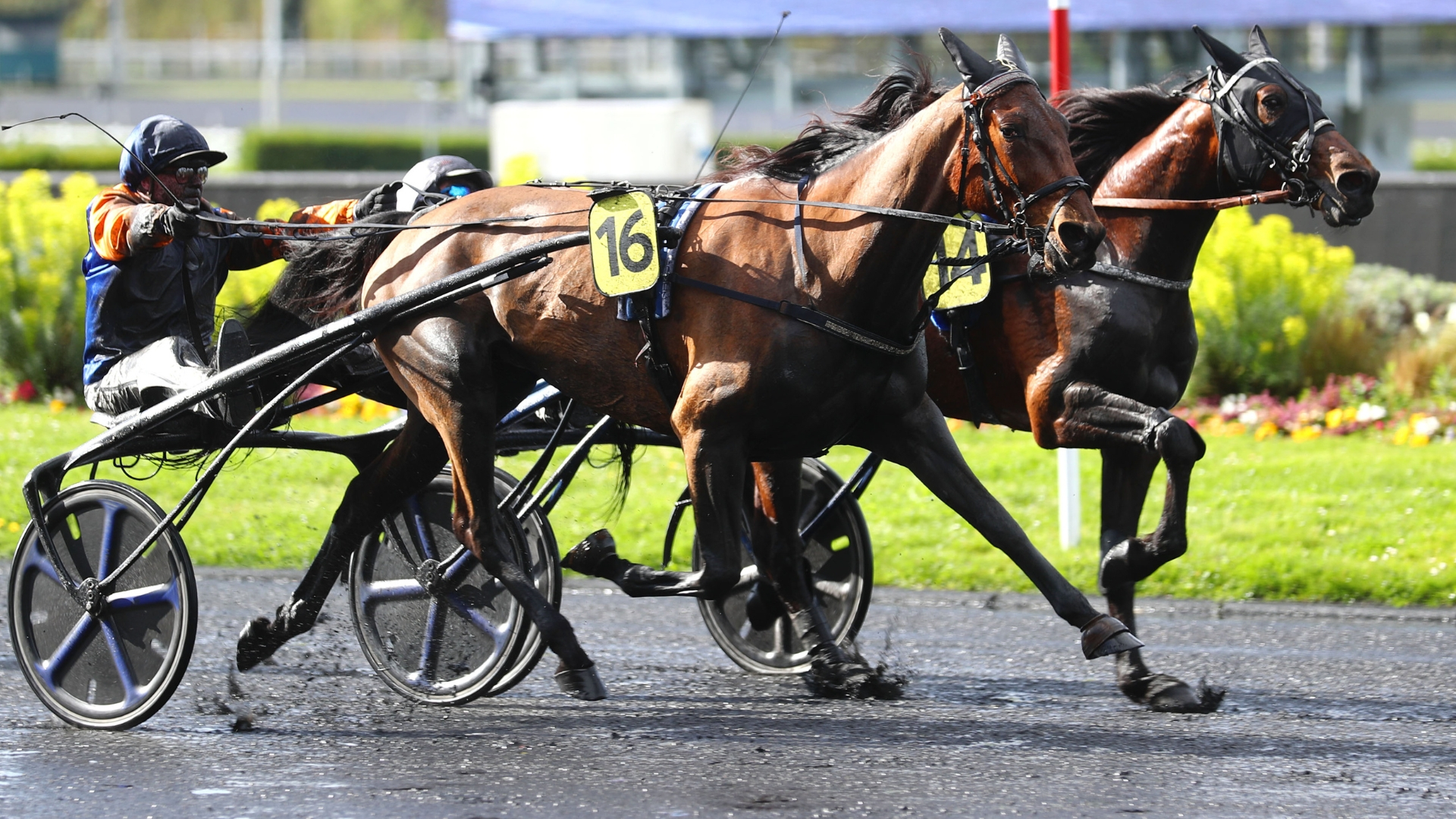 emeraudedebais-une-240323-65ff05ebcca1c289912365.jpg