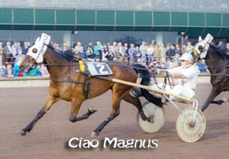 Ciao Magnus (1).jpg