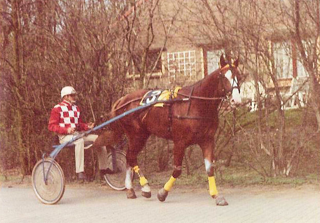 Fil d'Or 01.jpg