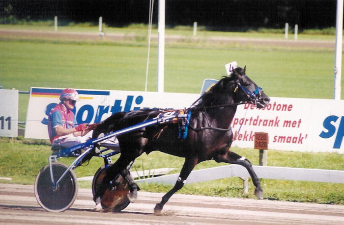 Gold Arrow 9-8-1998.jpg