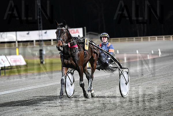 Landing Field segerdef 272 .t66031990.m600.w.4salnwmark2.png.xUrZxiInL.jpg