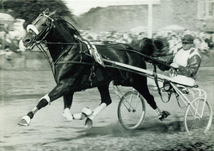 Hairos Hilversum.jpg