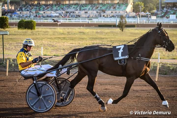 Ector-Francis.jpg