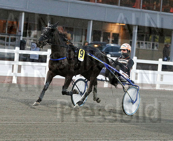 Tasherit heat.t634dbdcb.m600.w.4salnwmark2.png.xx9she9s0.jpg