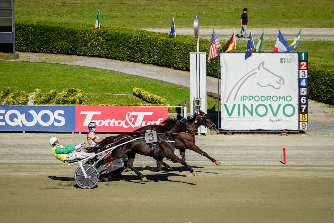 Citta-di-Torino-Filly.jpg