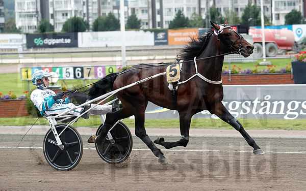 S.I.P. heat 1.t65a80f9c.m600.w.4salnwmark2.png.xsSgs_Et7.jpg