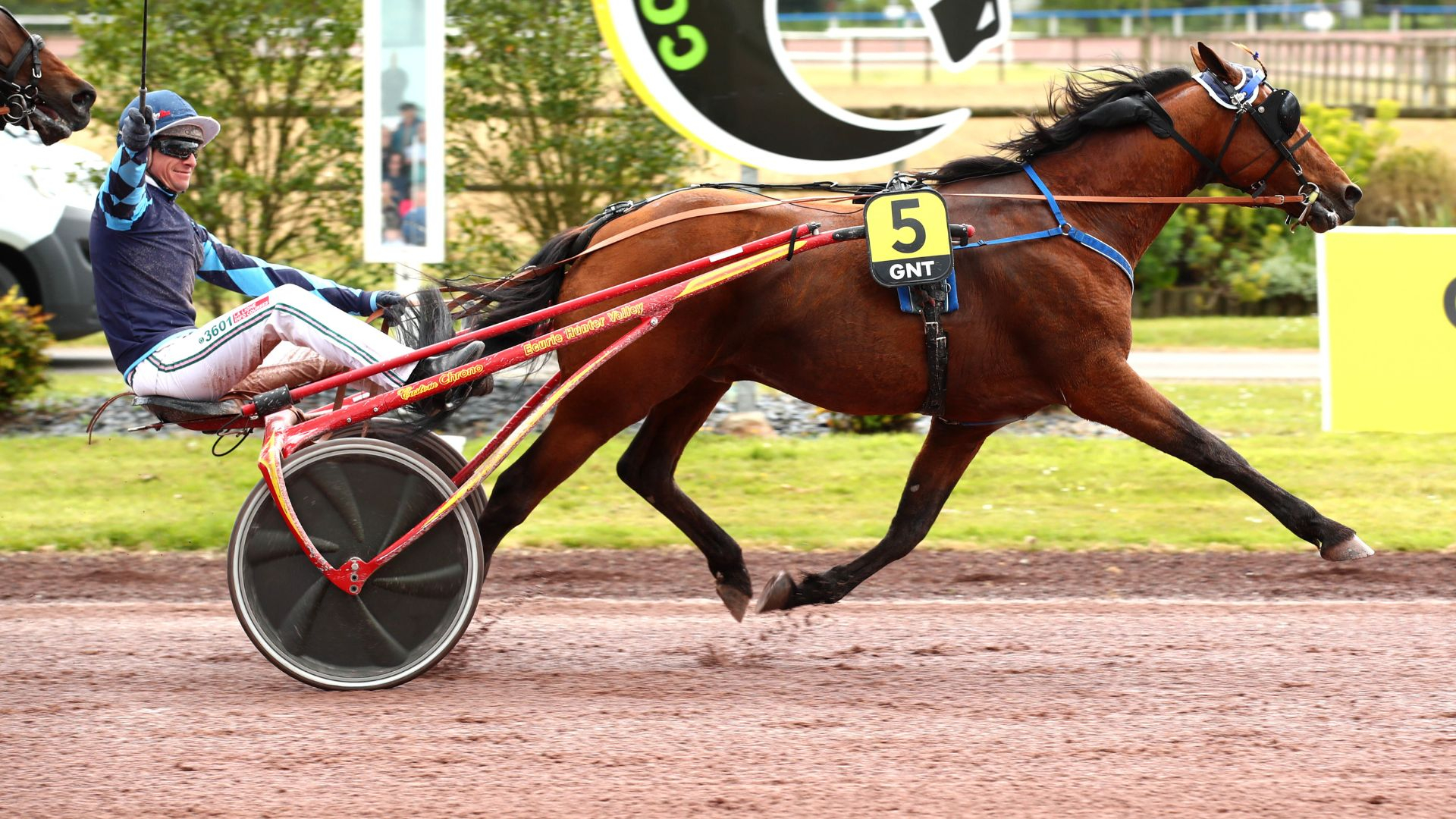 igrecdecelland25042024-662920d5517a7288901306.jpg