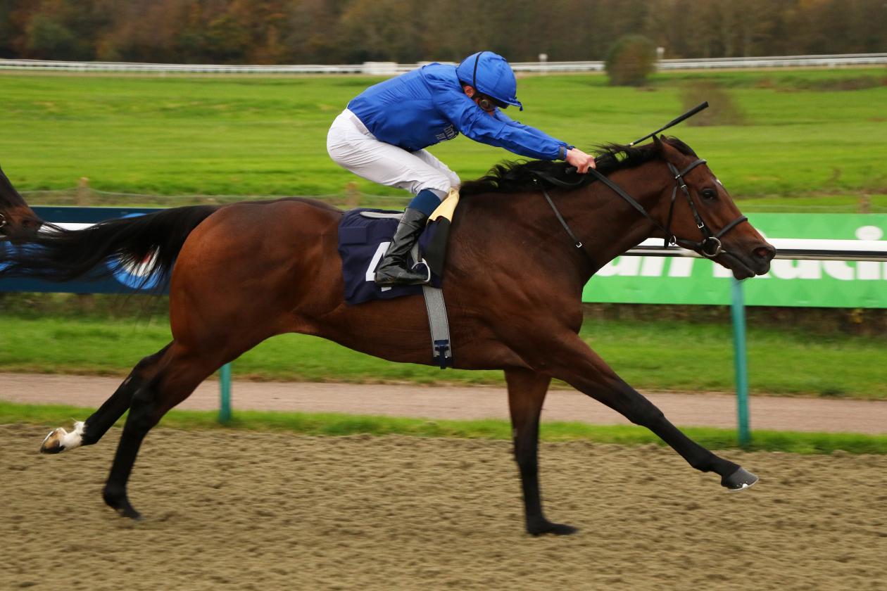 Noble Dynasty - Lingfield.jpg