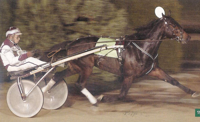 Komet November GPaard 03.jpg