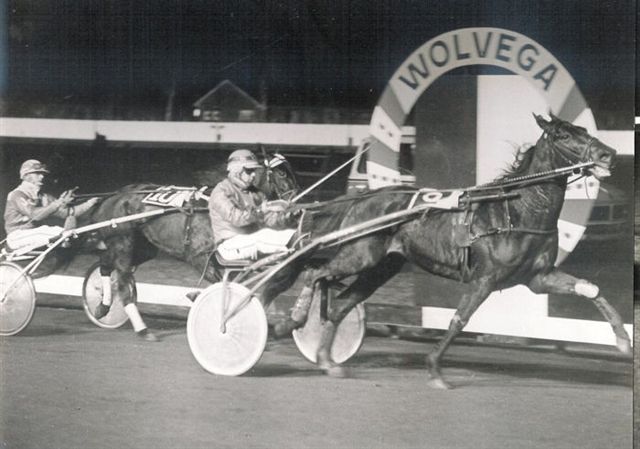 Leonard Hanover klopt Tydi.jpg