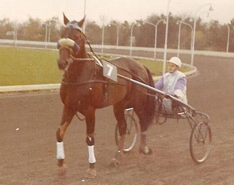 Loring Hanover 01.jpg