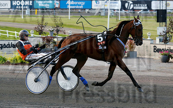 Lexington Tooma heat 1.t5daafacb.m600.w.4salnwmark2.png.xTNndq1hC.jpg