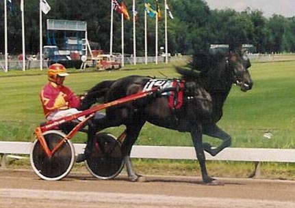 Nevele Cero O 01.jpg