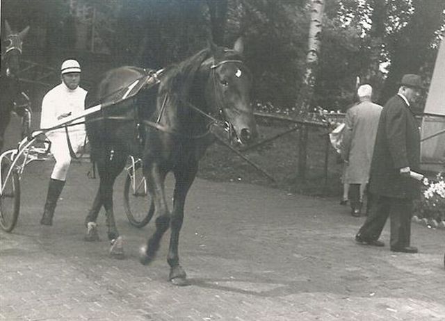 Olivier B 01.jpg