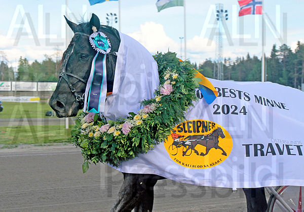 Ulvsåsen huvud.t6665ce20.m600.w.4salnwmark2.png.x-6Z0qx48.jpg