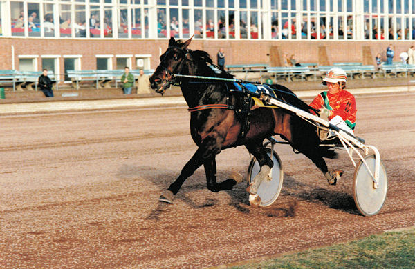 Promotor in 1989.jpg