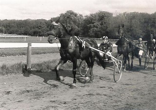 Quarteron II 01.jpg