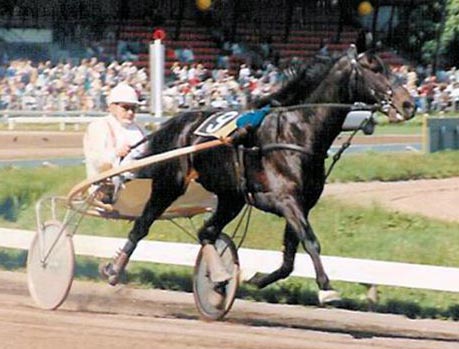 Roper Dan 01.jpg