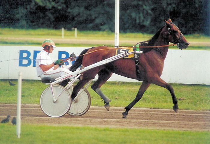 Sir Volo 13-8-2000.jpg