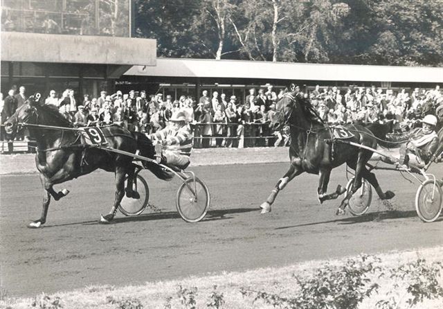 Snegem Flight 27-8-78.jpg