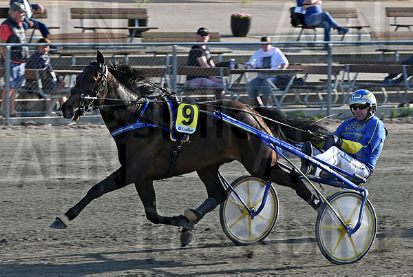 Force Of Nature mål DSC_959.t663631ad.m600.w.4salnwmark2.png.xCkiNYGyX.jpg