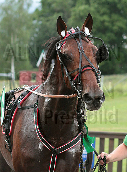 Safety Tile huvud (2).t64ae673a.m600.w.4salnwmark2.png.xU7j8drJq.jpg