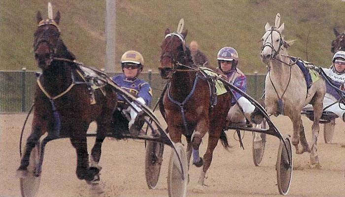 Ufo Kievitshof GPaard 07.jpg