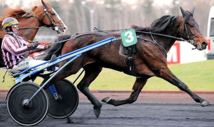 Unico Limburgia in 2009.jpg