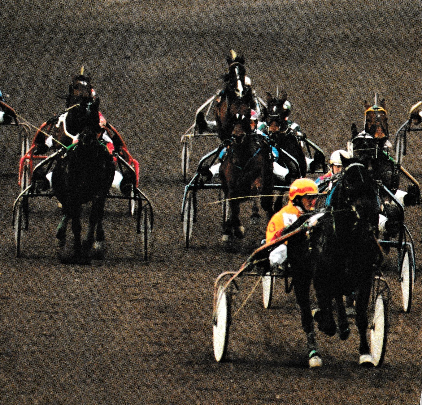4 Feb. Gouden paard 2.jpg