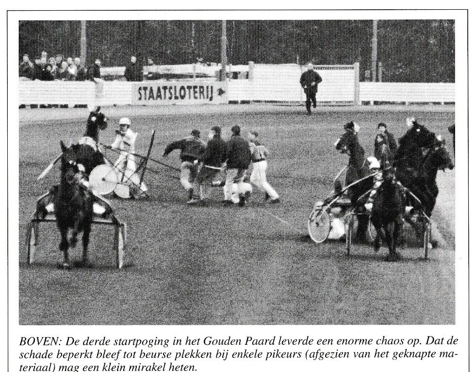 4 Feb. Gouden paard 1a.jpg